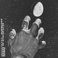 Skelephant - Alienated Moons of Syncopated Tunes