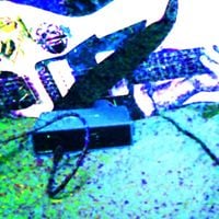 A Conical, Bottomless Pit - EXPERIMENTS IN NO WAVE #2
