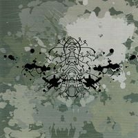Yellow Swans - Psychic Secession