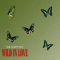 The Happy Fits - Wild in Love