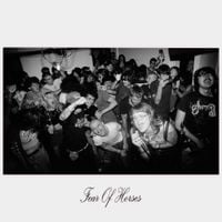 Fear of Horses - Fear of Horses