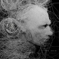 The Missing Peace - THE VOID