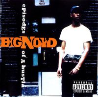 Big Noyd - Episodes of a Hustla