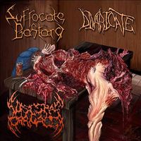 Suffocate Bastard - Mutilated and Split Into Thirds