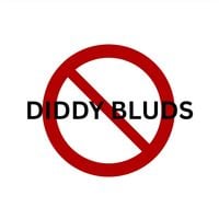 S27 - NO MORE DIDDY BLUDS