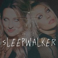 The Pretty Wild - Sleepwalker