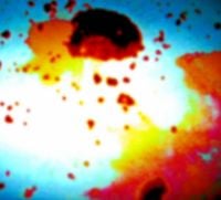 c@ - Dead Kitten Wasteland