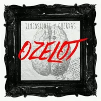 Ozelot - Dimensiones Y Cuerdas
