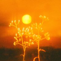 Reruntuh - Nyala Langit Jingga