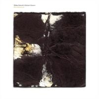 William Basinski & Richard Chartier - Divertissement