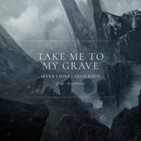 Seven Lions - Take Me To My Grave