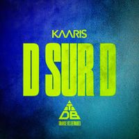 Kaaris - D Sur D