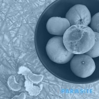 Cell Rot - Parasite