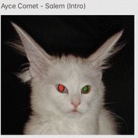 AYCE COMET - FORESTLOVESONG EP