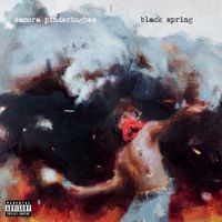 Samora Pinderhughes - BLACK SPRING