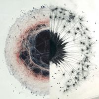 brb. - dandelions