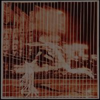 Intercourse - The Ballad of Max Wright