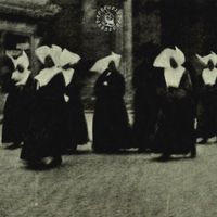 Porcupine - Under the Altar