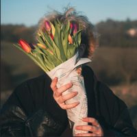 Aussie Purser - satellites and lies