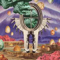 The Cosmic Range - The Gratitude Principle