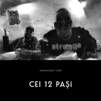 Zmoalacazan - Cei 12 pasi