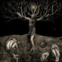 All Traps On Earth - A Drop Of Light
