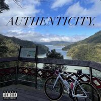 ZX - AUTHENTICITY.