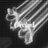 OLOGI - Orchid