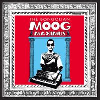 The Bongolian - Moog Maximus