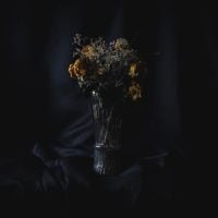 Gorthon - A Barren Emptiness