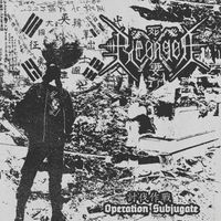 편곤 (Pyeongon) - 討伐作戰 (Operation Subjugate)