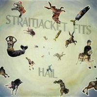 Straitjacket Fits - Hail