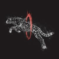 Mike Kota - Through Fire