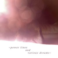 petting feral cats - power lines and various dreams