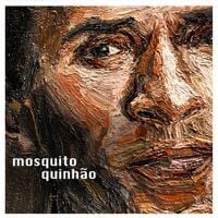 Mosquito - Quinh&atilde;o