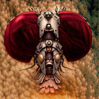 Winstonw - Jack The Fly