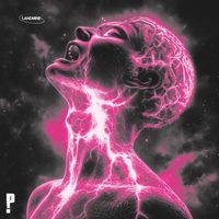PINKNOISE - LANDMINE