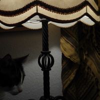 VenusianCatStore - Cat with Lamp