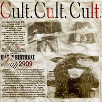 mlodyskowyr - CULT.