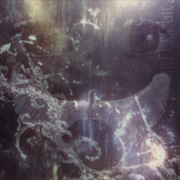 mlodyskowyr - KRAYOBRAZ