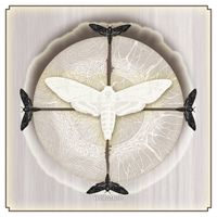 White Moth - White Moth
