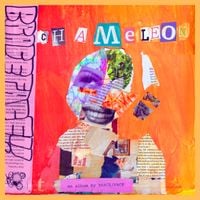 BRACE/FACE - CHAMELEON