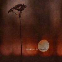 Entangled System - Desolation