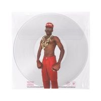 Tyler, The Creator - DON'T TAP THE GLASS [Physical Release]