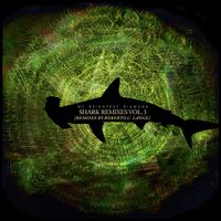 My Brightest Diamond - Shark Remixes, Vol. 3: Roberto Carlos Lange