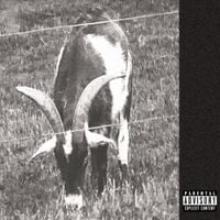 Lady Kabela - Goathead
