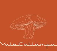 Caf&eacute; Tacvba - Vale Callampa
