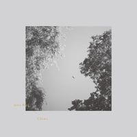 Chima - Julis Bird