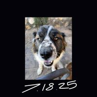 Mark Carrasco - 7.18.2025 ("Our Classic Spicy Chicken Sandwich Is Back and All Of Tomorrow's Numbers")