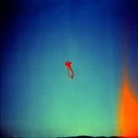 sunflwr - heard it in a dream